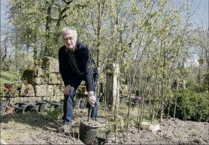 Spindling pflanzen mit Herrn Hermann Schiller Foto Judas